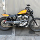 2004 Harley-Davidson xl1200 custom