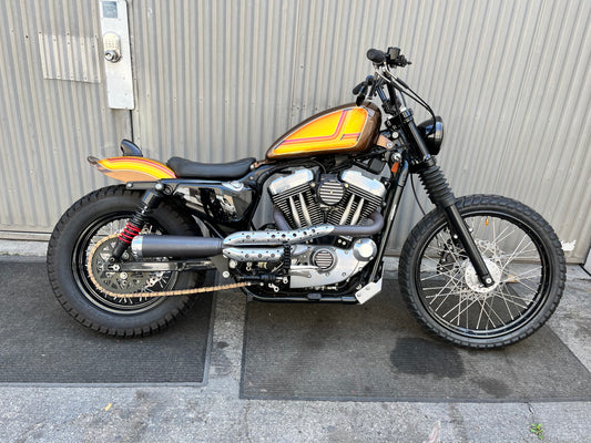 2004 Harley-Davidson xl1200 custom