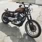 2004 Harley-Davidson xl1200 custom