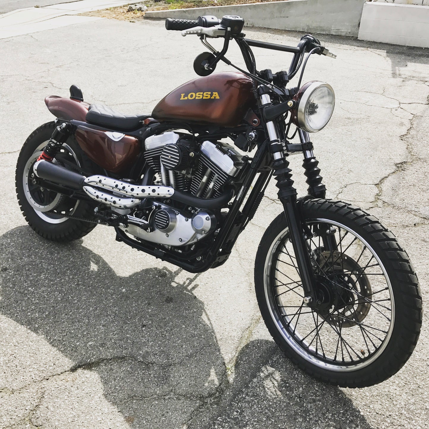 2004 Harley-Davidson xl1200 custom