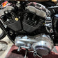 2004 Harley-Davidson xl1200 custom