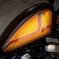2004 Harley-Davidson xl1200 custom
