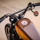 2004 Harley-Davidson xl1200 custom